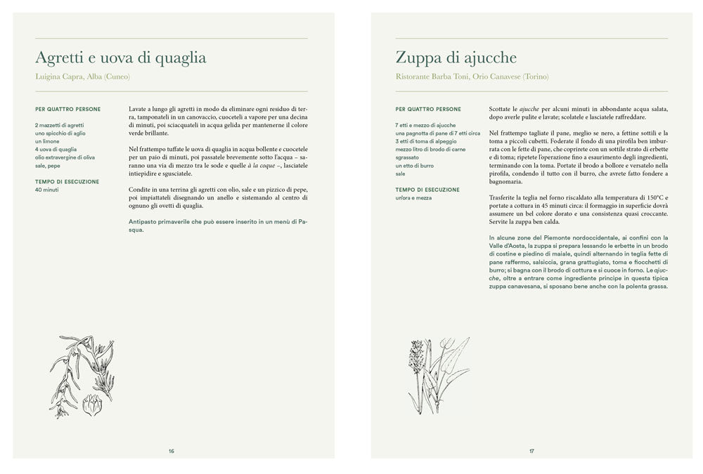 Atlante gastronomico delle erbe::170 piante. 60 ricette