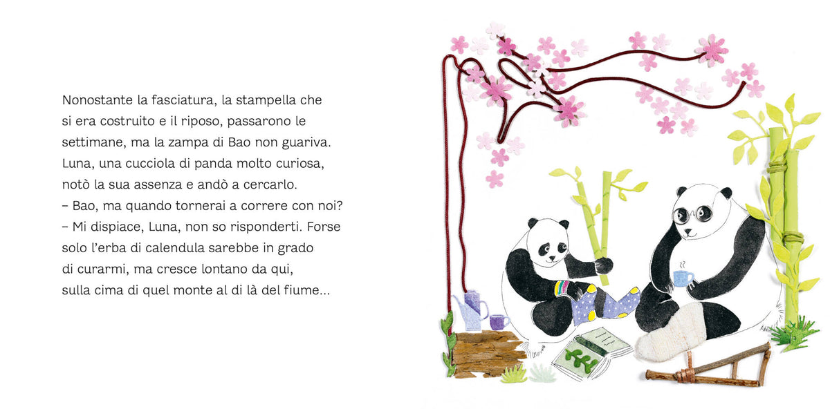Così diventerai grande