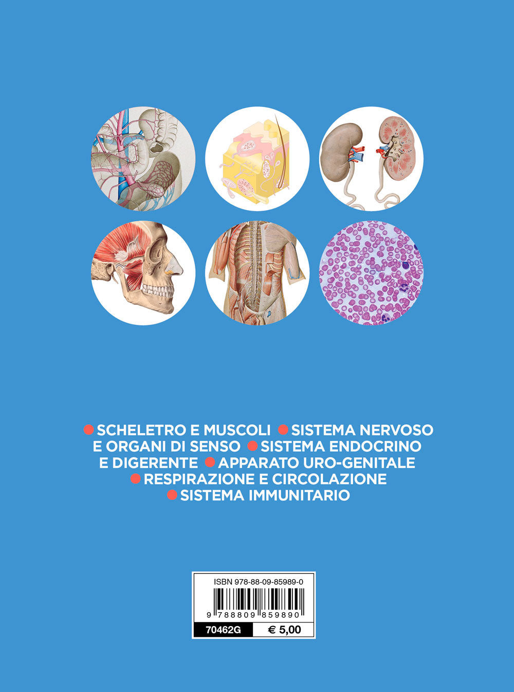 Anatomia::Scheletro e muscoli - Sistema nervoso e organi di senso - Sistema endocrino e digerente - Apparato uro-genitale - Respirazione, circolazione - Sistema immunitario