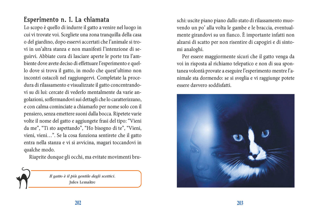 I poteri magici del gatto::Storia- Leggende - Tradizioni