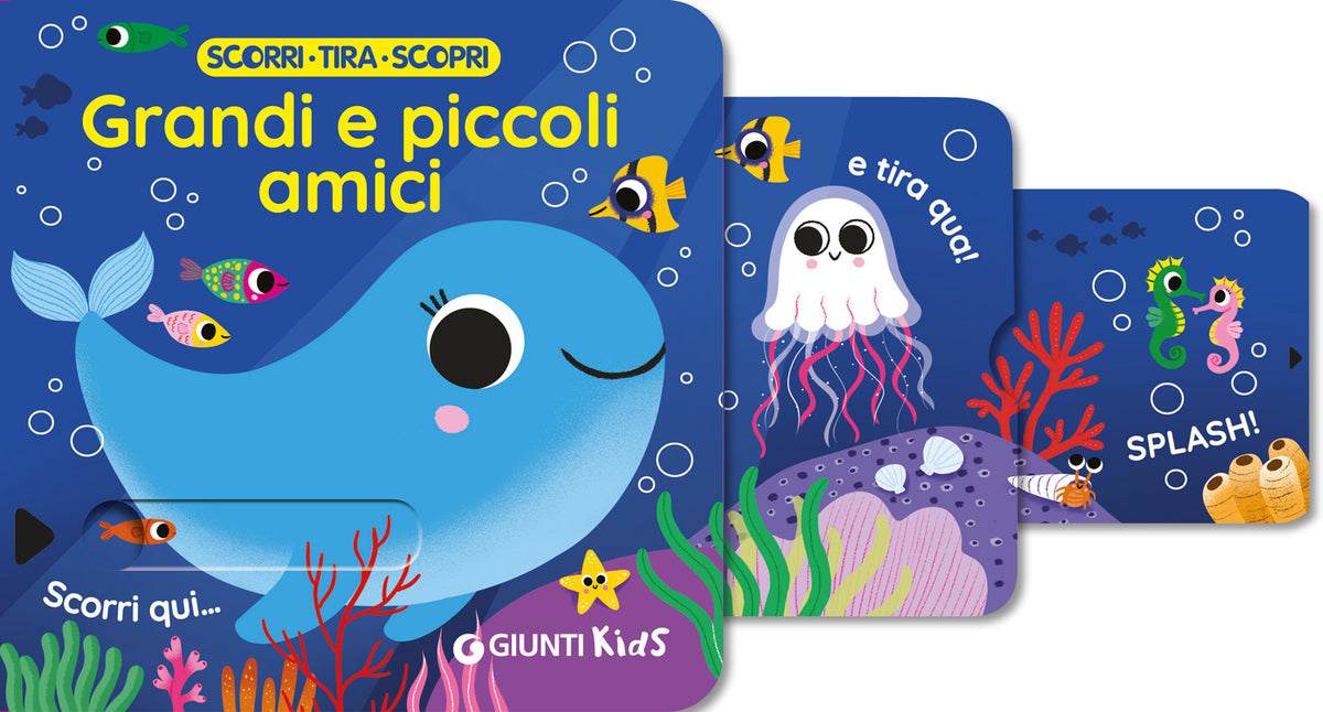 Chi è il più grande?