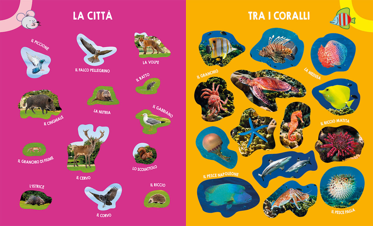 Super stickers. Animali Selvaggi