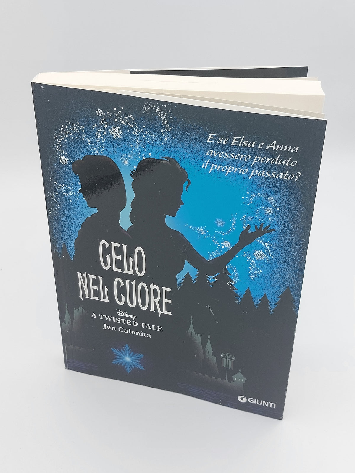 Gelo nel cuore - Disney A twisted tale::E se Elsa e Anna avessero perduto il proprio passato?