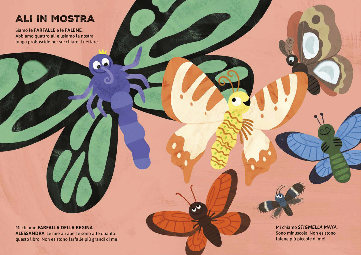 Chi vive nel prato?::Per sbirciare attraverso i fori e sorprendersi a ogni pagina!