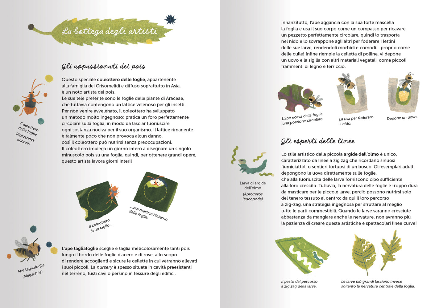 L'arte della Natura::Un museo a cielo aperto