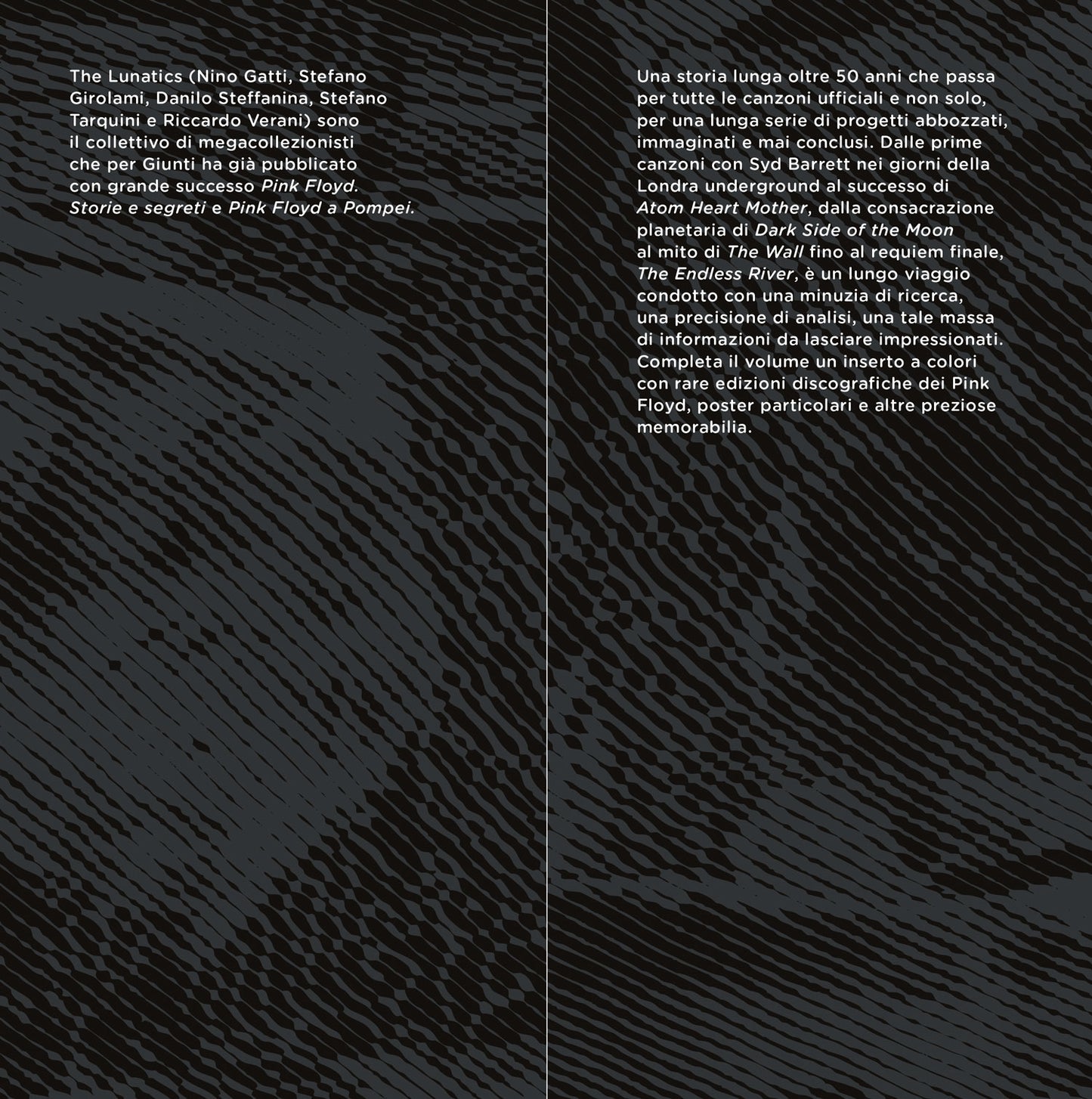 Pink Floyd::Il fiume infinito