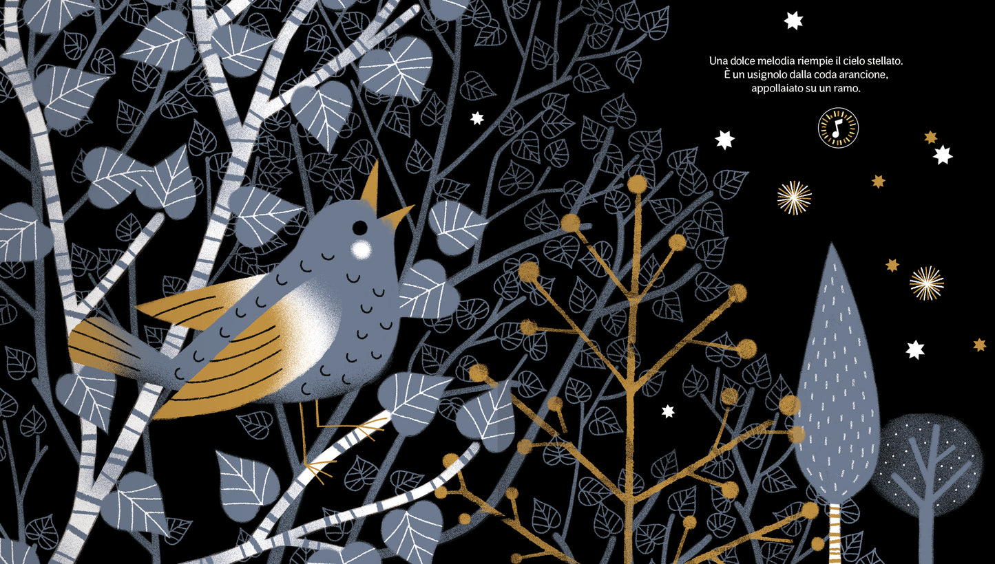 Ascolta... gli animali della notte