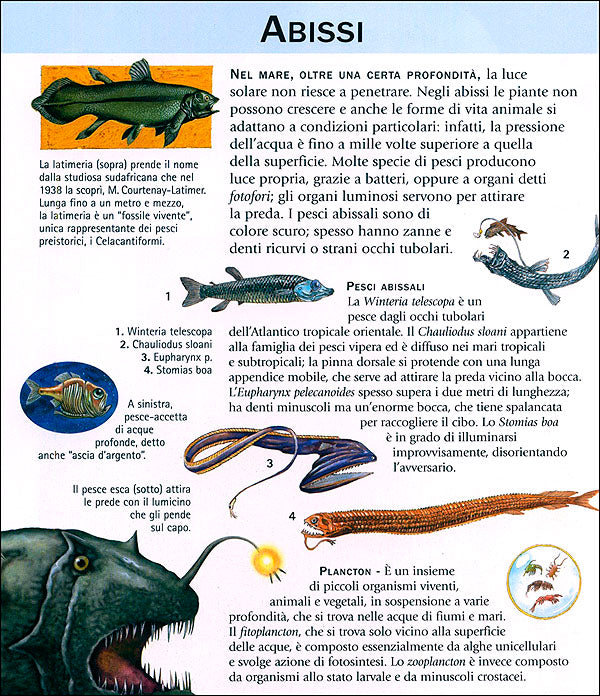 Enciclopedia illustrata per ragazzi