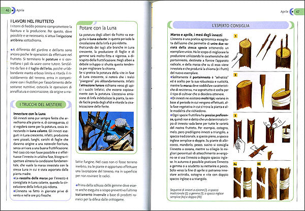 Calendario lunare delle semine e dei lavori