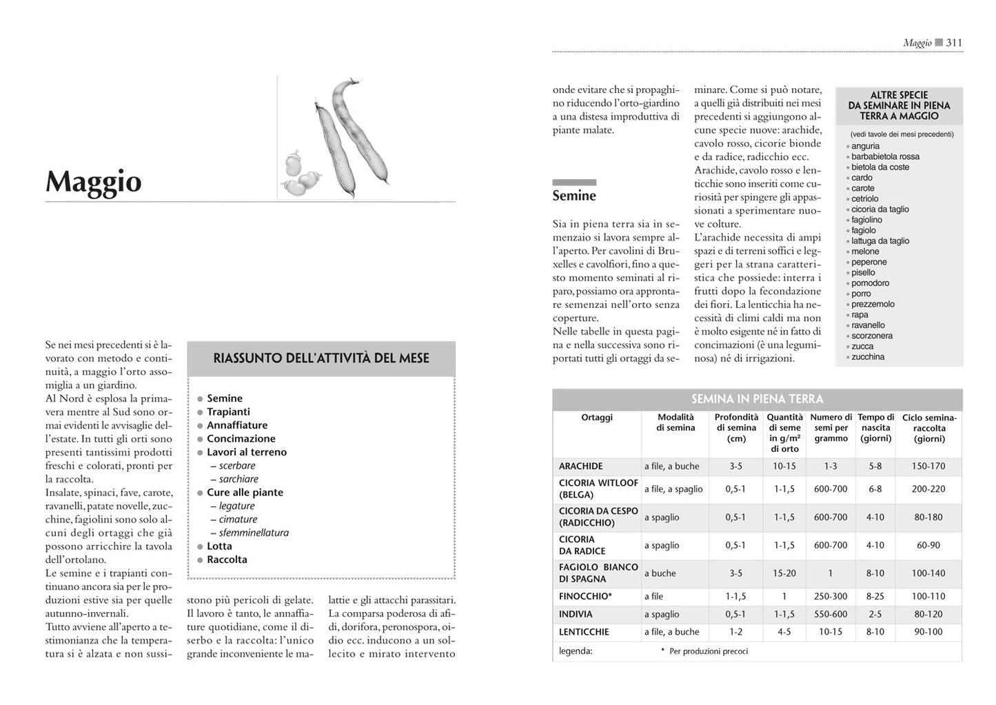 Il maxi libro dell'Orto::Come progettare, organizzare e curare il tuo orto