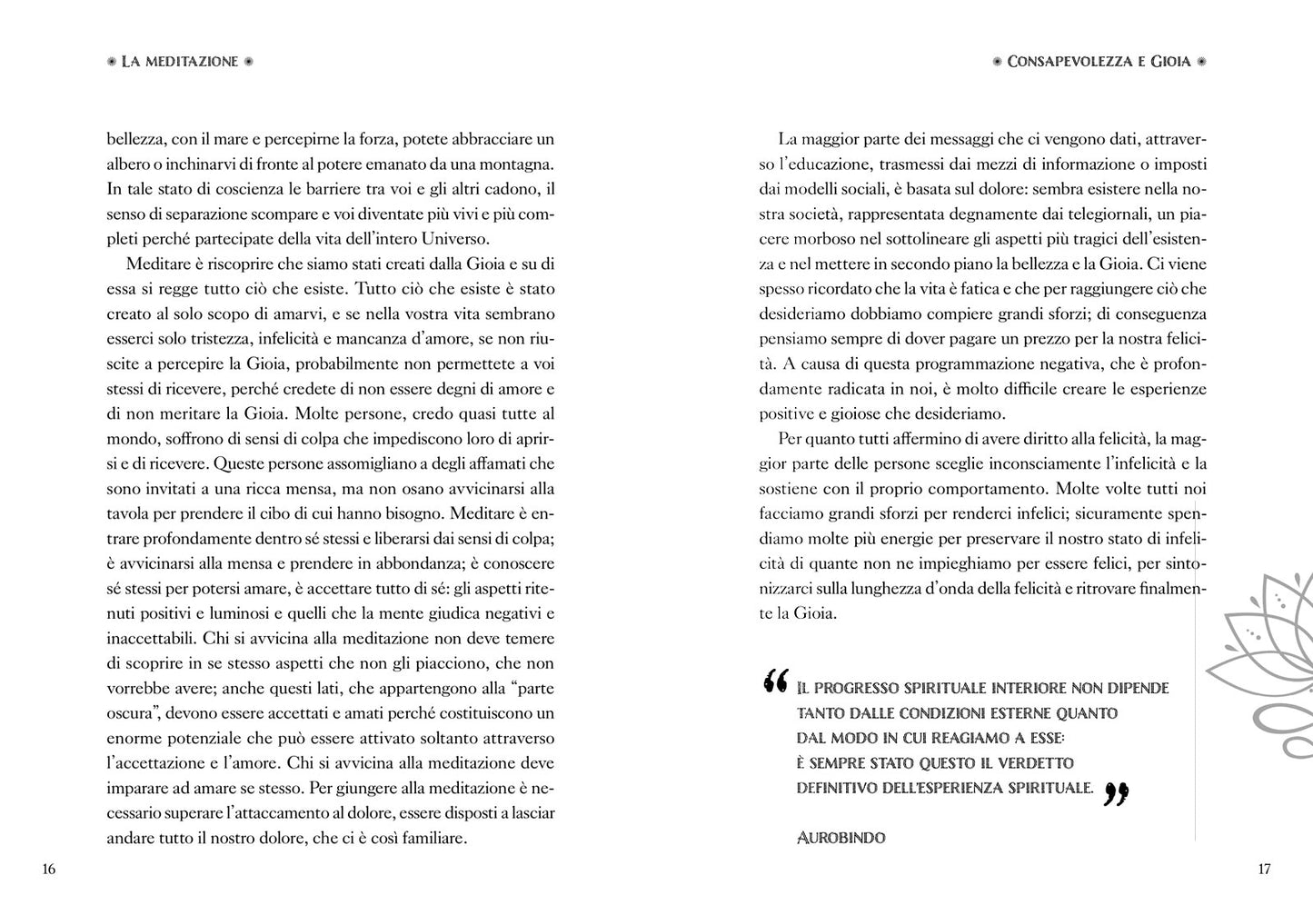 Meditazione::La riscoperta dell'armonia