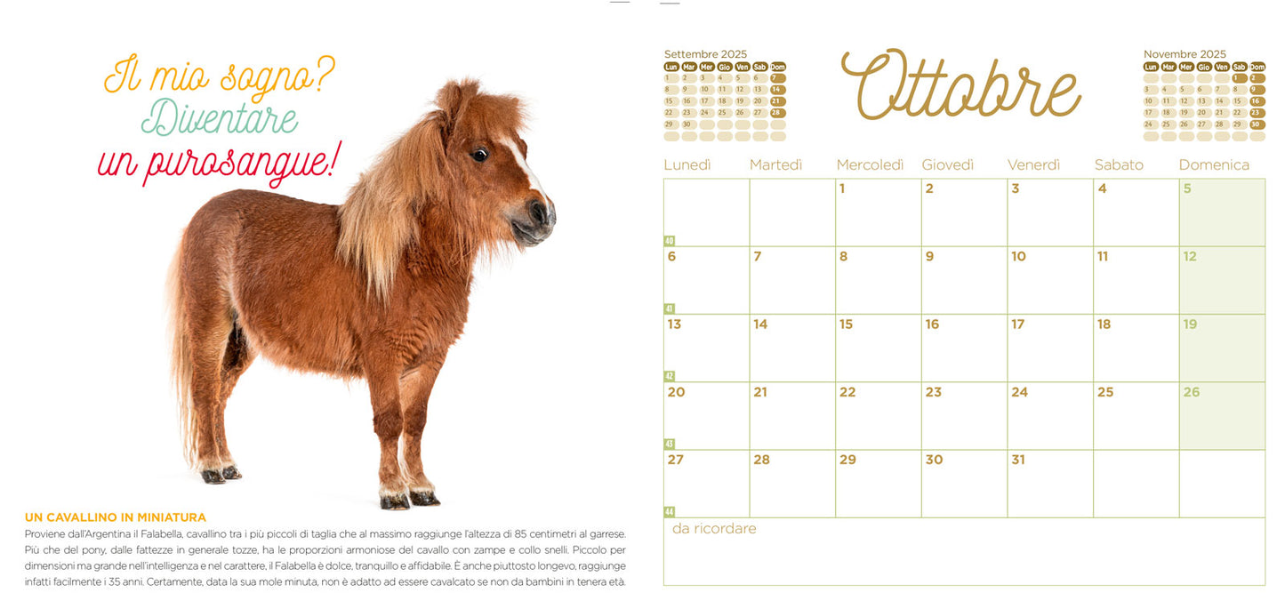 Calendario Cuccioli 2025 da tavolo (17 x 16 cm)