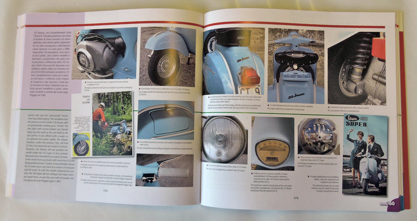 VESPA Guida illustrata all'identificazione/Illustrated guide to the identification ::Guida illustrata all'identificazione/Illustrated guide to the identification