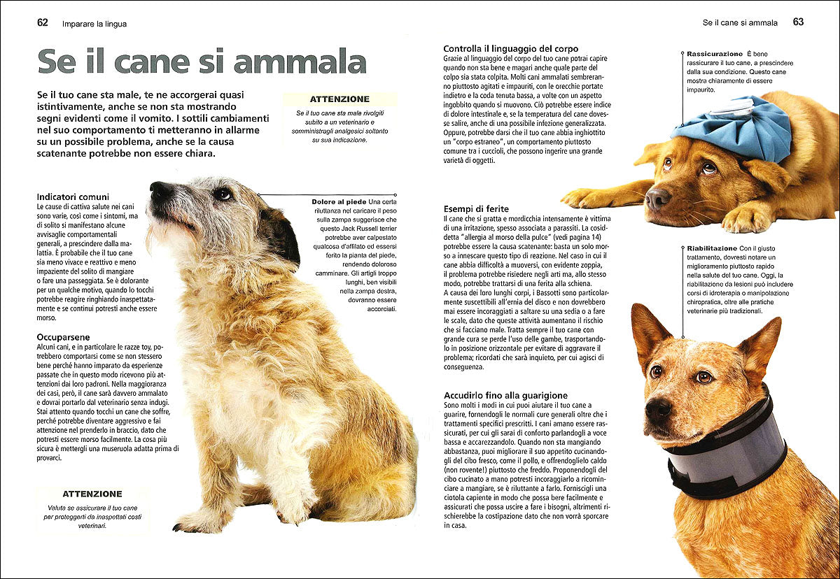 Dog Decoder::Come interpretare il linguaggio segreto dei cani