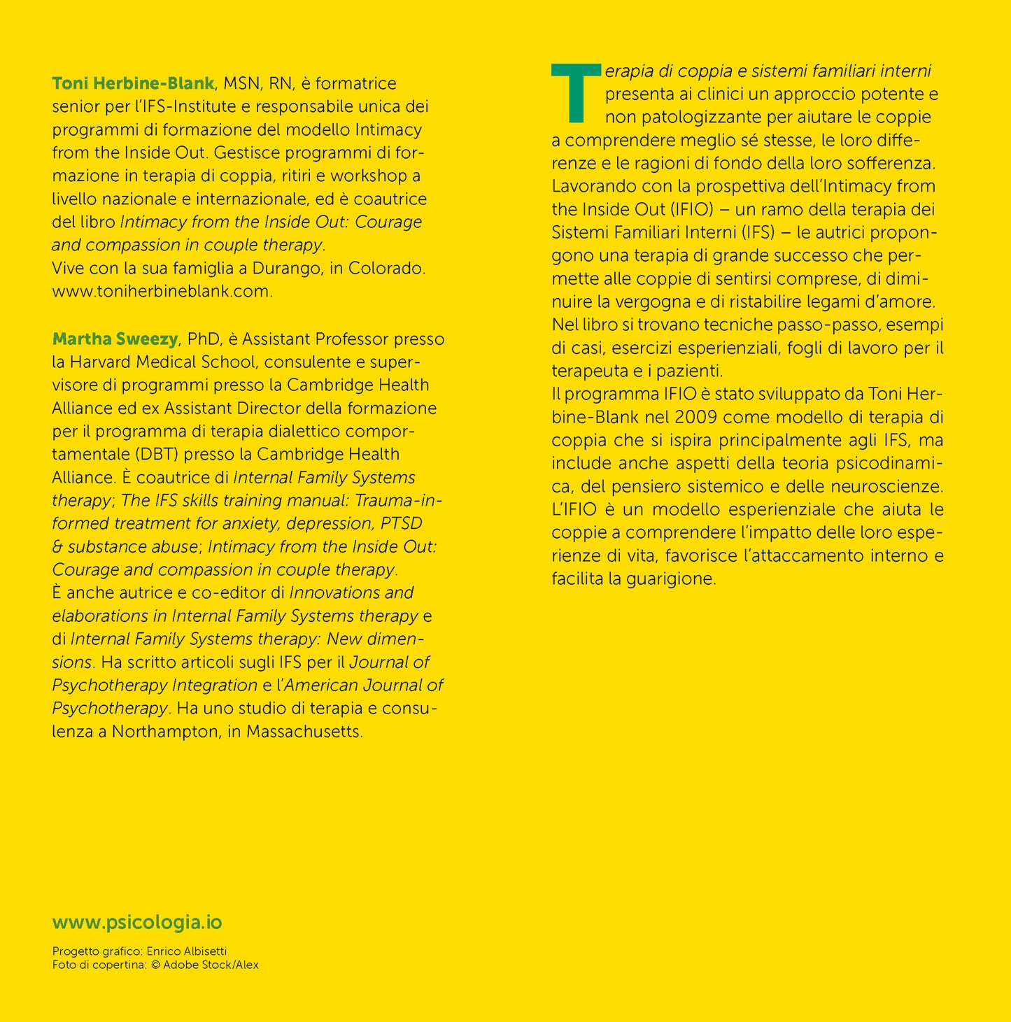 Terapia di coppia e sistemi familiari interni::Guarire le relazioni con il metodo dell’intimità dall’interno verso l’esterno. Manuale delle competenze