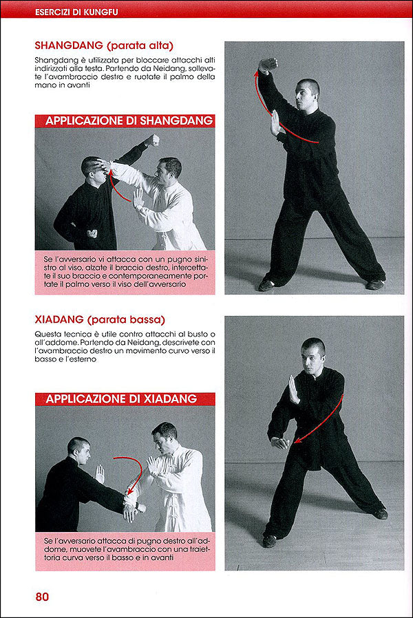 Esercizi di Kung Fu Wushu::La ginnastica preparatoria, le tecniche di base, le combinazioni, il combattimento