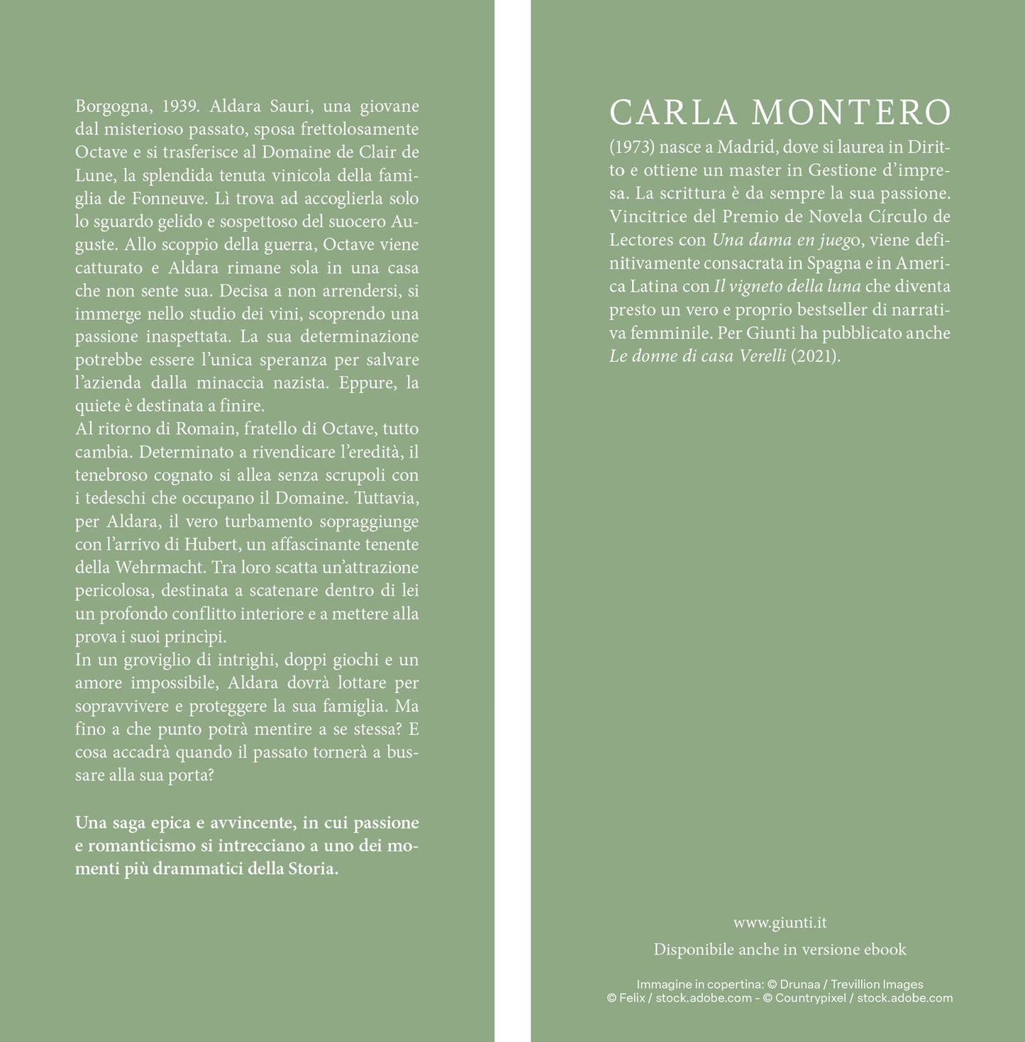 Il vigneto della luna