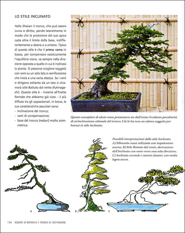 L'arte del Bonsai::Storia, estetica, tecniche e segreti di coltivazione