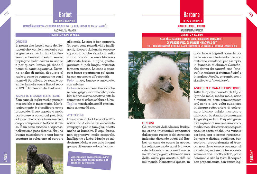 342 Cani di razza::caratteristiche fisiche e psicologiche • storia • attitudini • curiosità