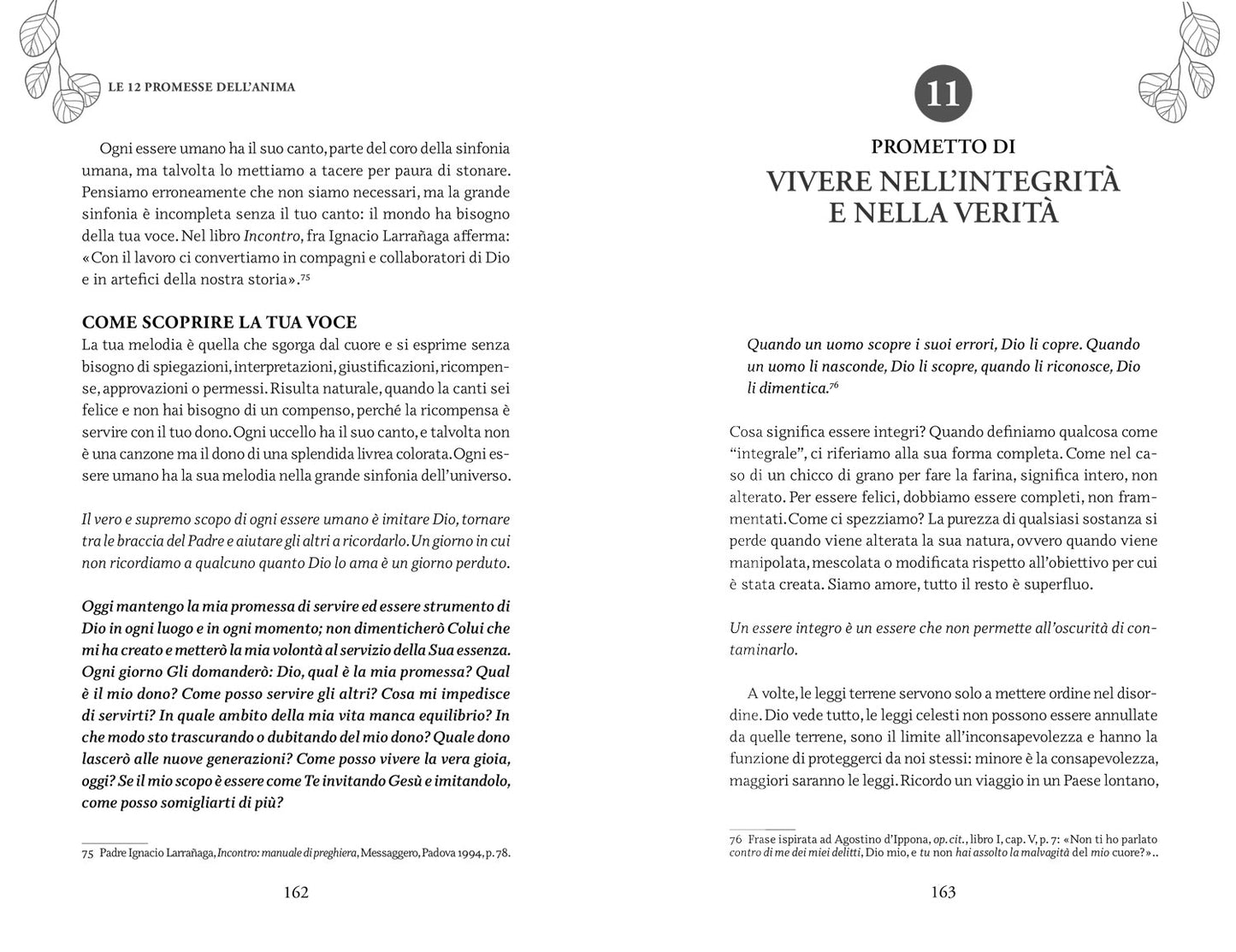 Le 12 promesse dell'anima::Una guida per la guarigione spirituale
