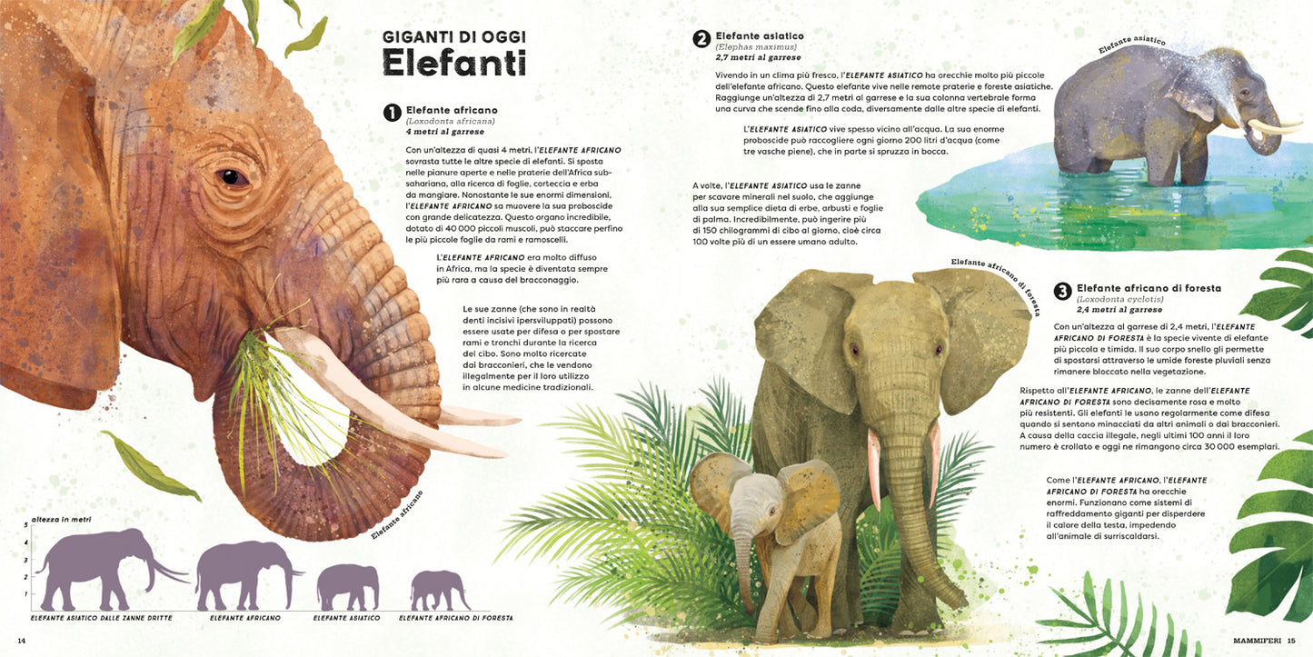 Mega::I più grandi animali di sempre!