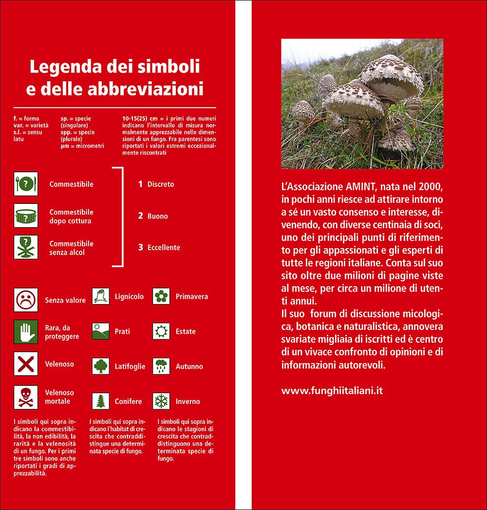 Tutto Funghi::Cercarli, riconoscerli, raccoglierli