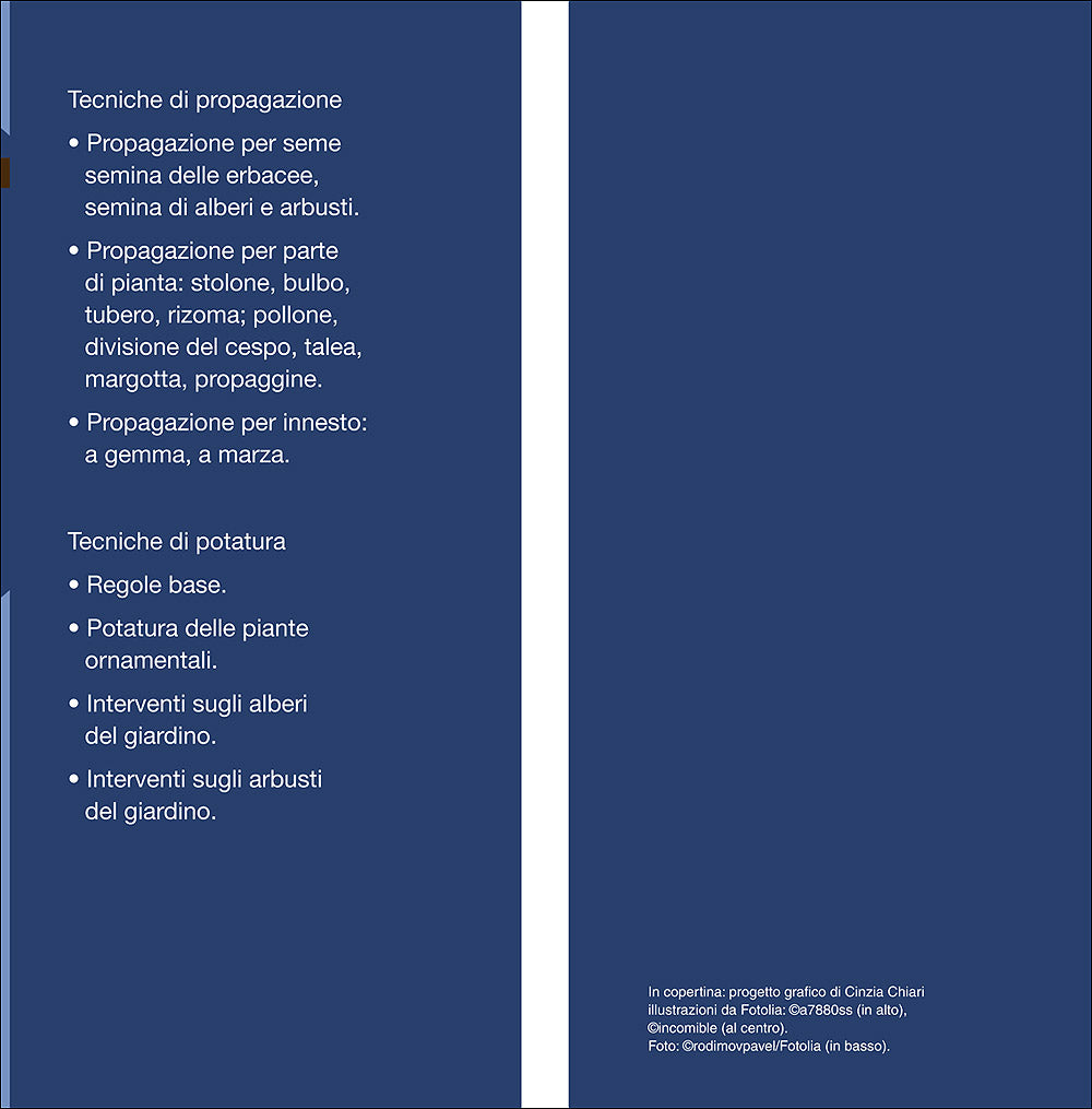 Potatura e riproduzione in giardino