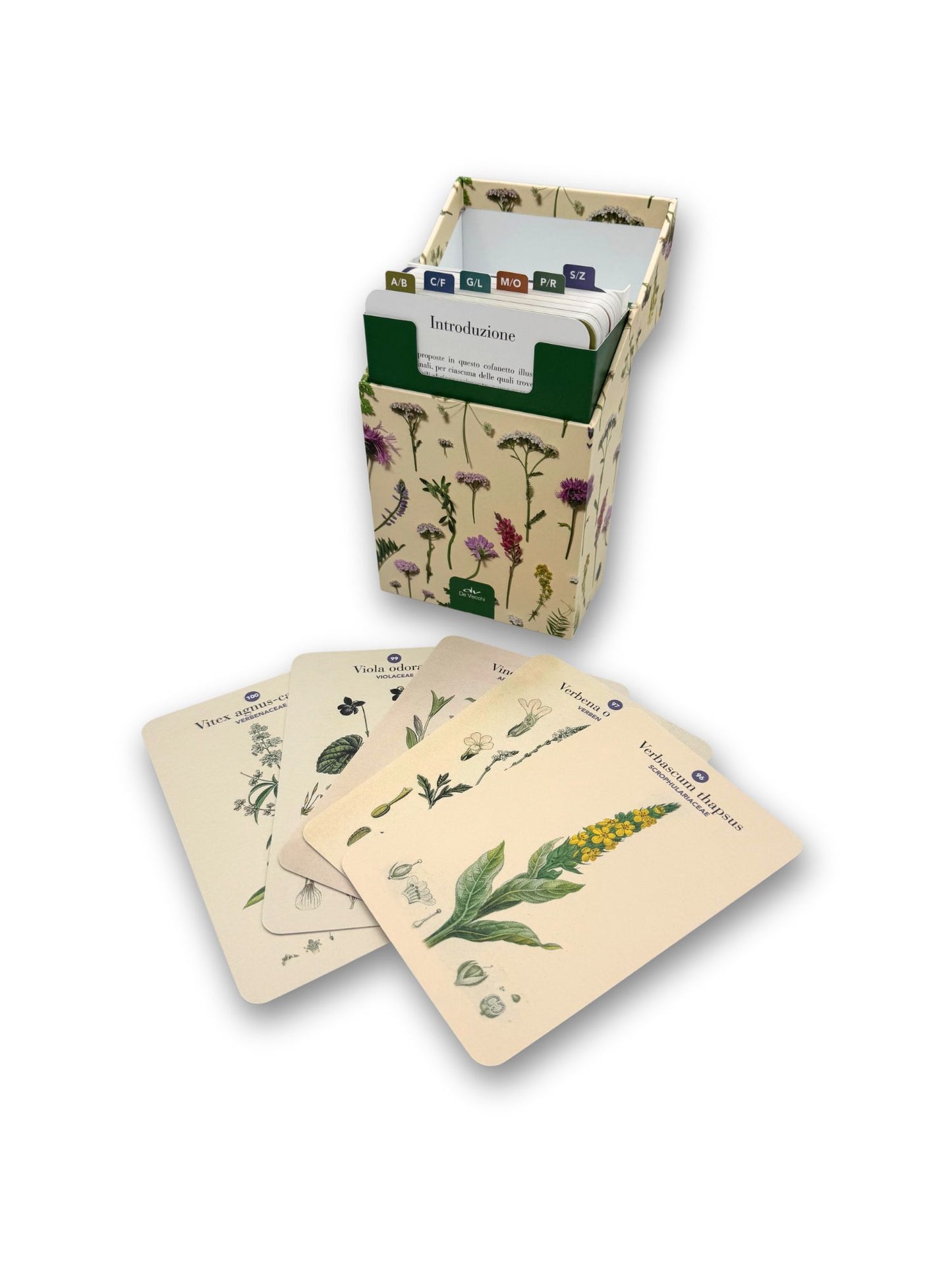 Erbario::101 Schede per riconoscere le principali erbe curative e di uso alimentare