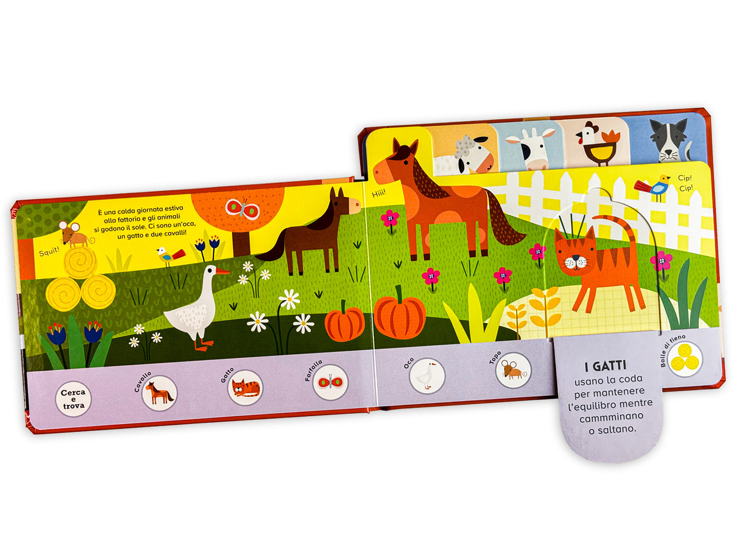 Fattoria::Piccoli esploratori