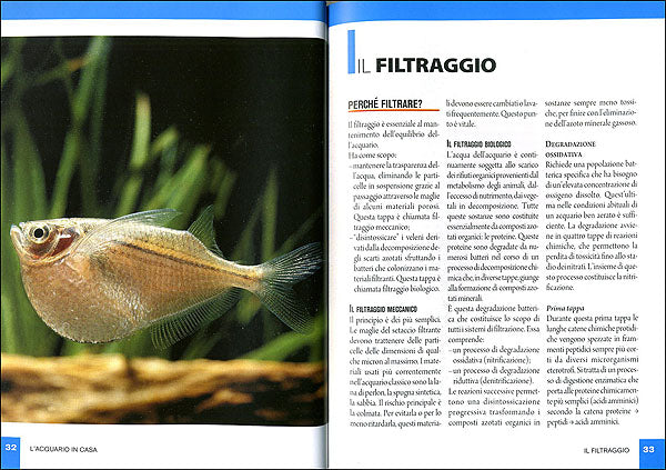 L'acquario in casa::Impianto, filtri, illuminazione, riscaldamento, vegetazione, manutenzione, specie più diffuse