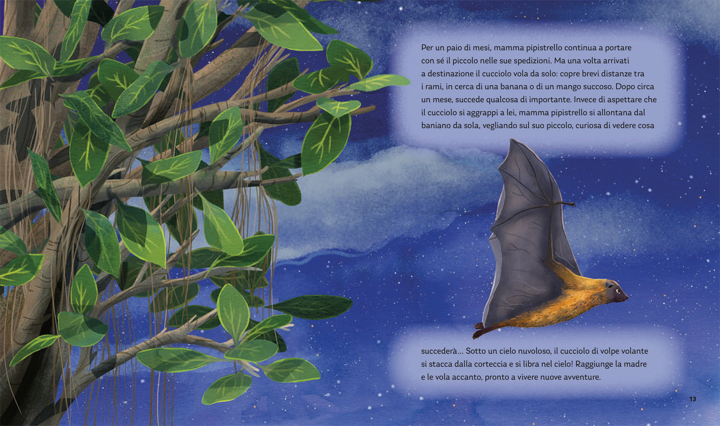 I segreti della notte::Storie della buonanotte per scoprire la natura