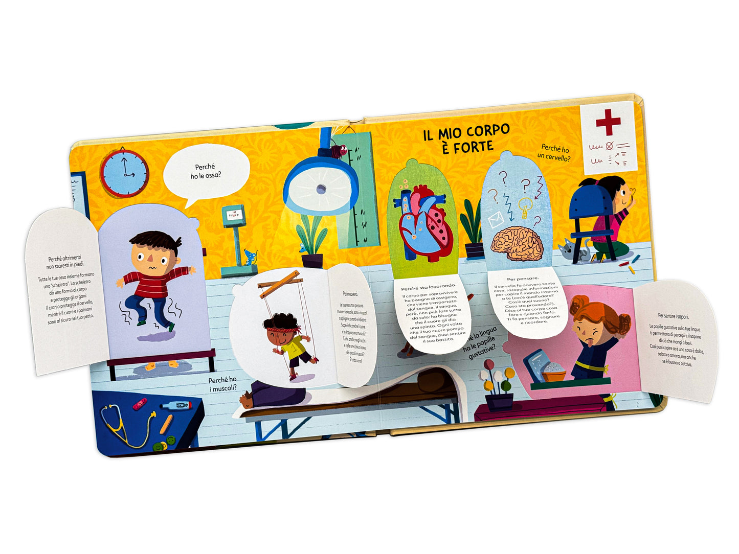 Corpo umano::Tante risposte per piccoli curiosi