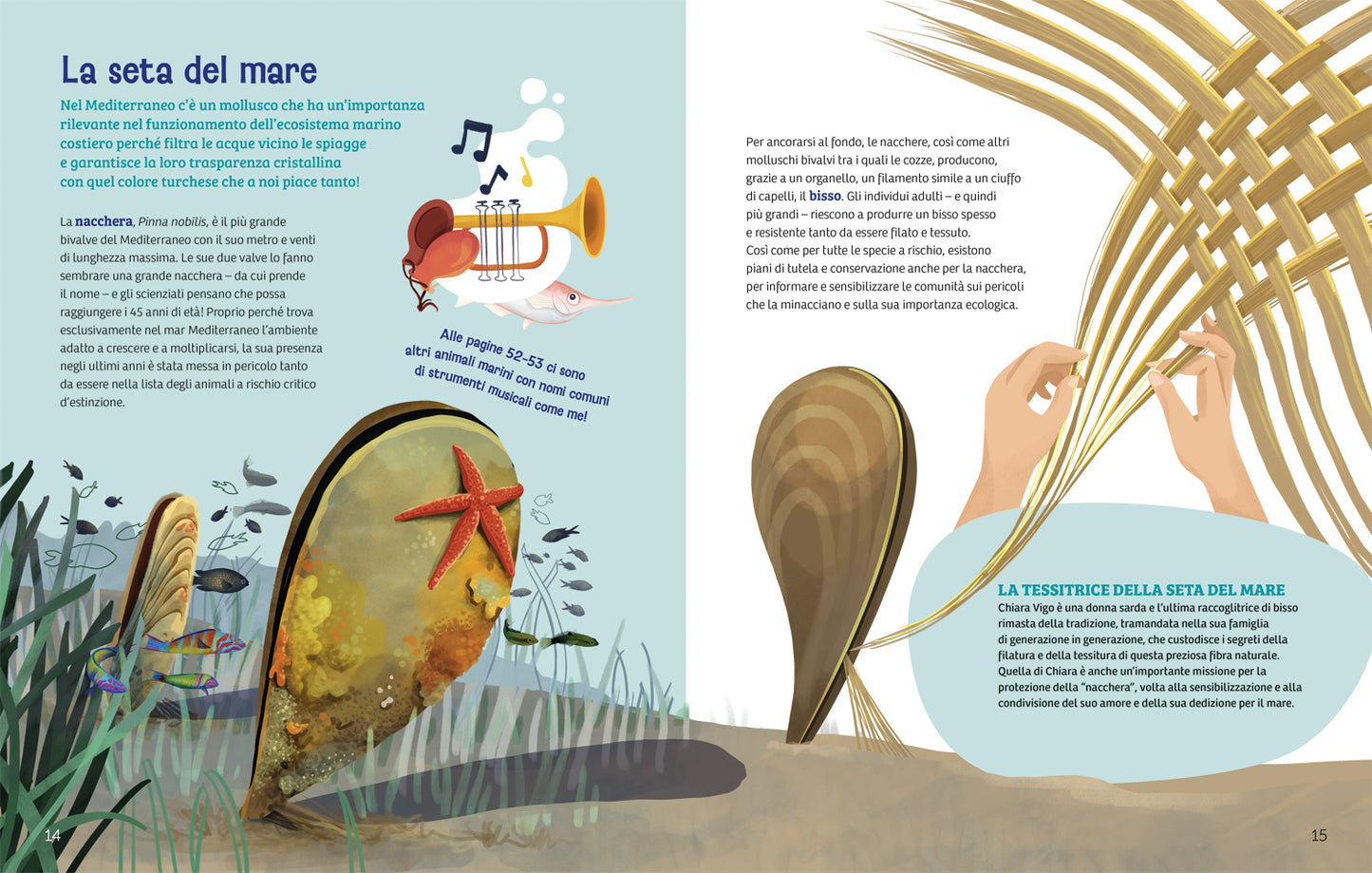 Cronache dal Mediterraneo::Storie biodiverse sotto le onde del mare