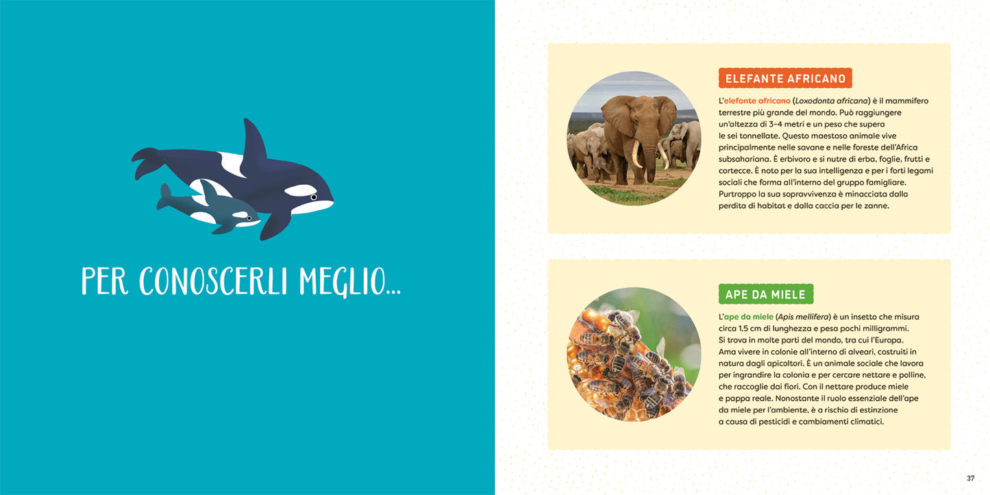 Qui comando io!::Le femmine nel mondo animale