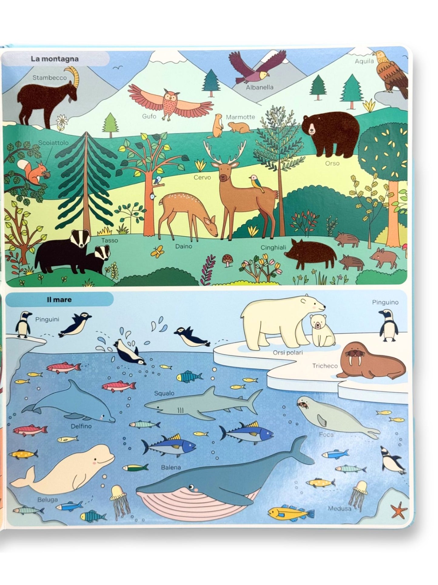 Il mondo del bambino