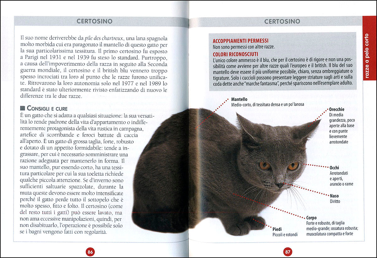 Gatto. Il manuale completo::Scelta, razze, alimentazione, salute