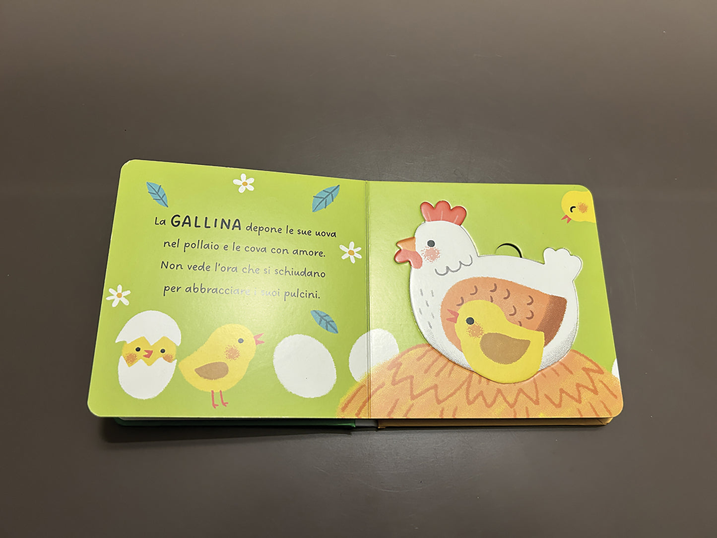 Il mio primo libro dei cuccioli