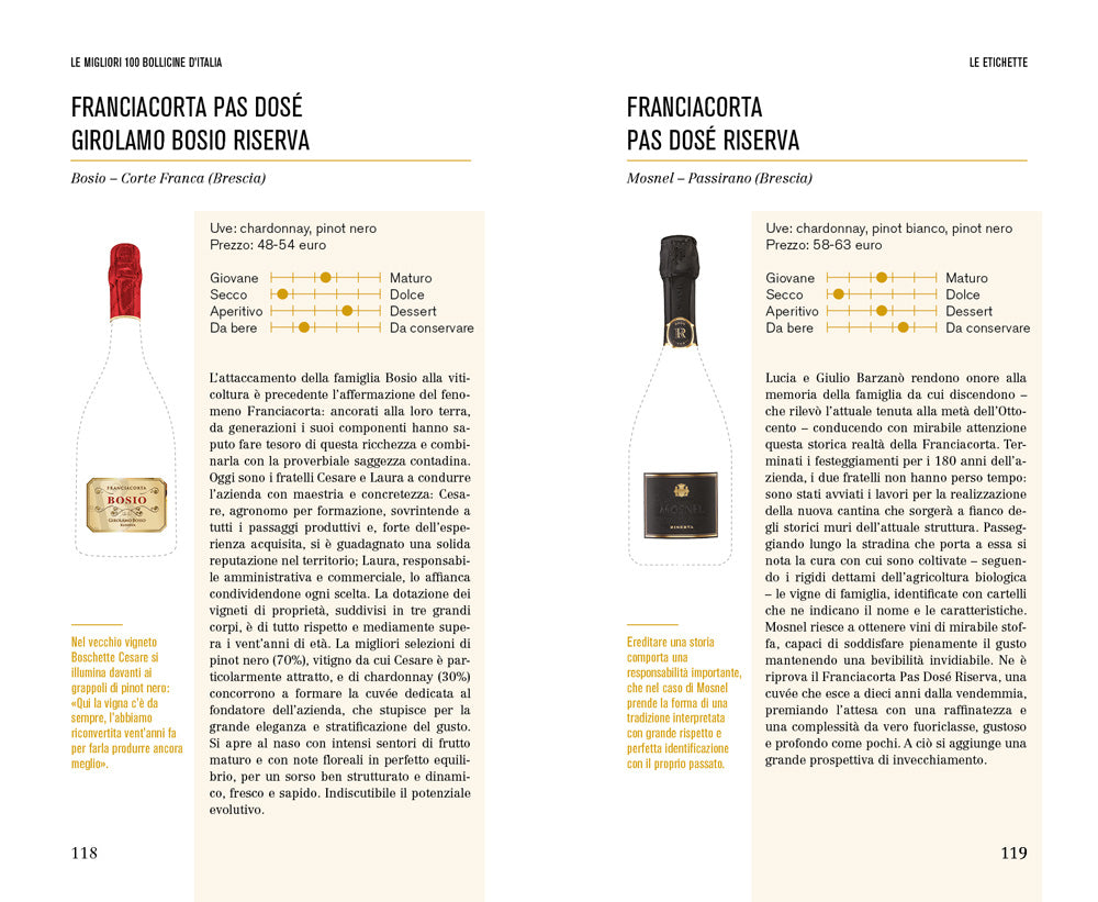 Le migliori 100 bollicine d'Italia::Per sapere sempre con che vino brindare