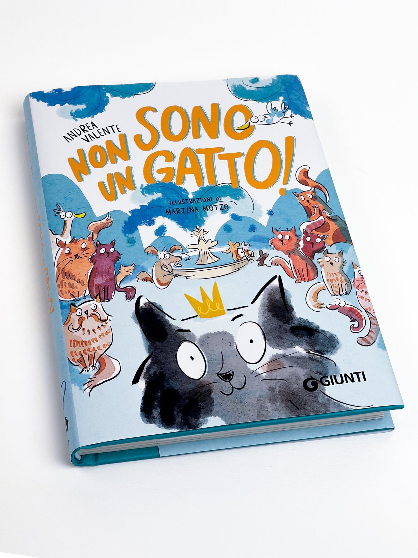 Non sono un gatto!