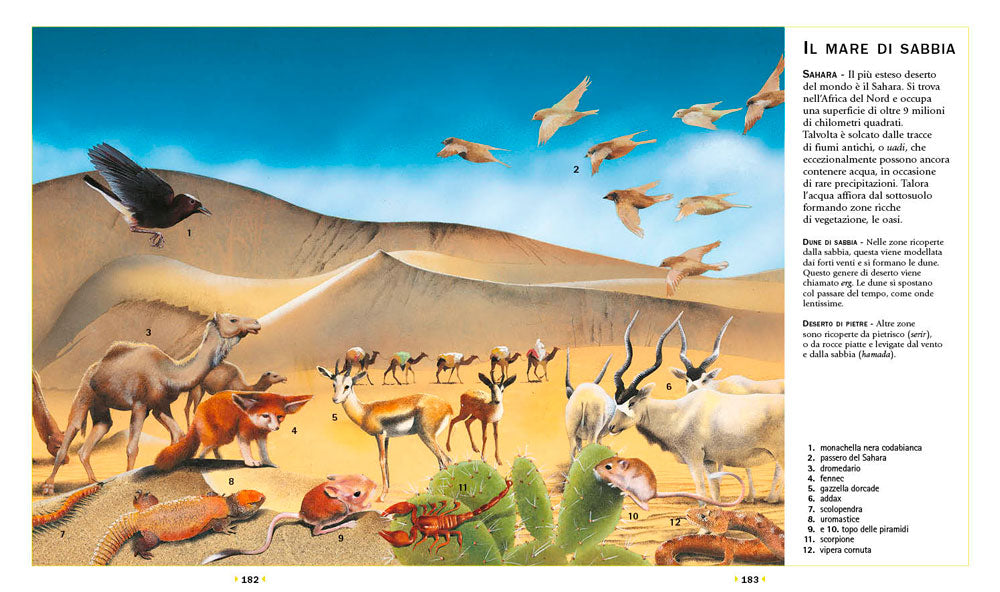 Enciclopedia Illustrata degli animali