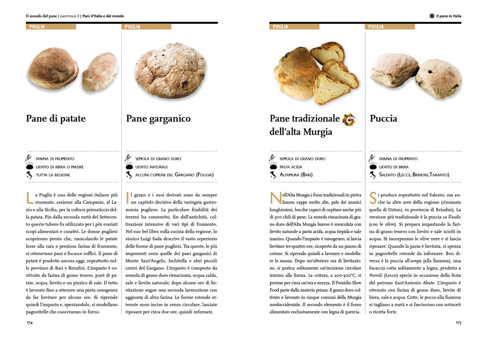 Il mondo del pane::Il libro per conoscerlo, sceglierlo, farlo in casa