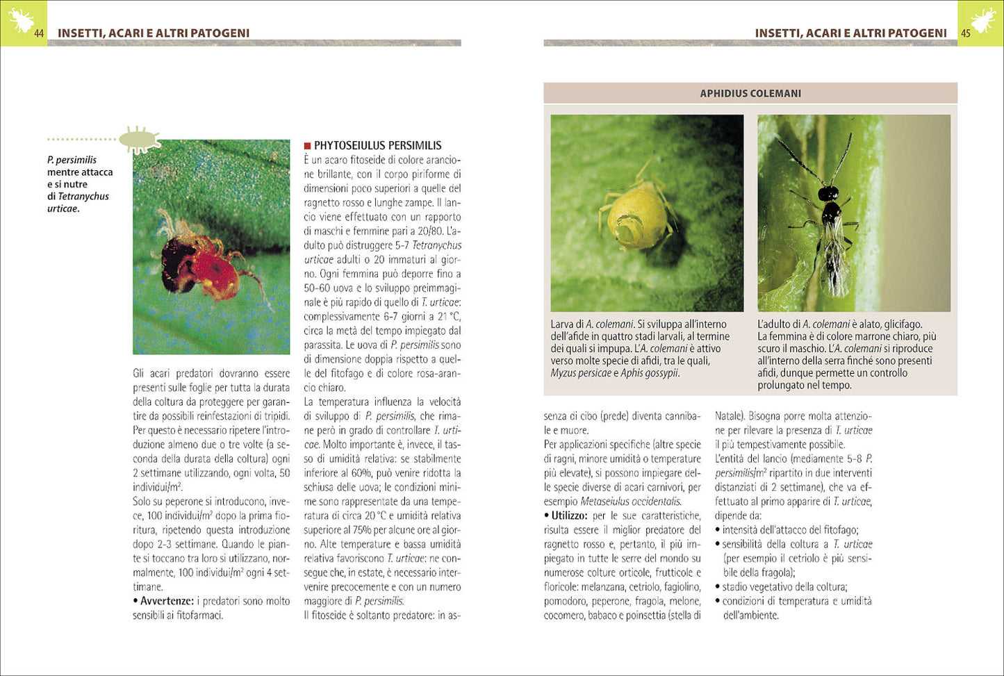 Antiparassitari naturali per l'orto, il frutteto e il giardino