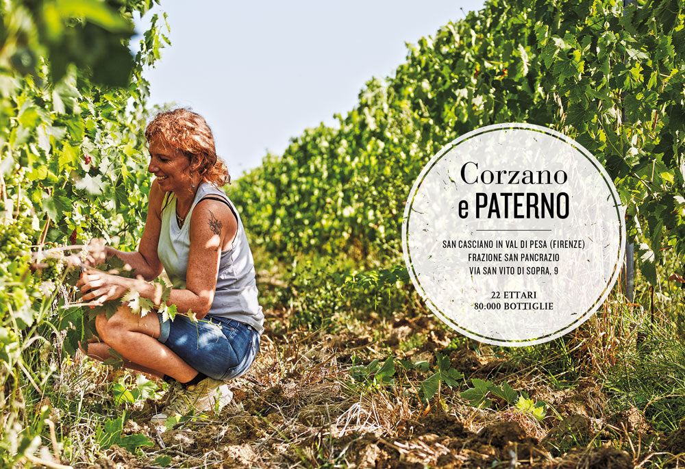 Il grande viaggio nel vino italiano::Racconti di vita, vigne, vini