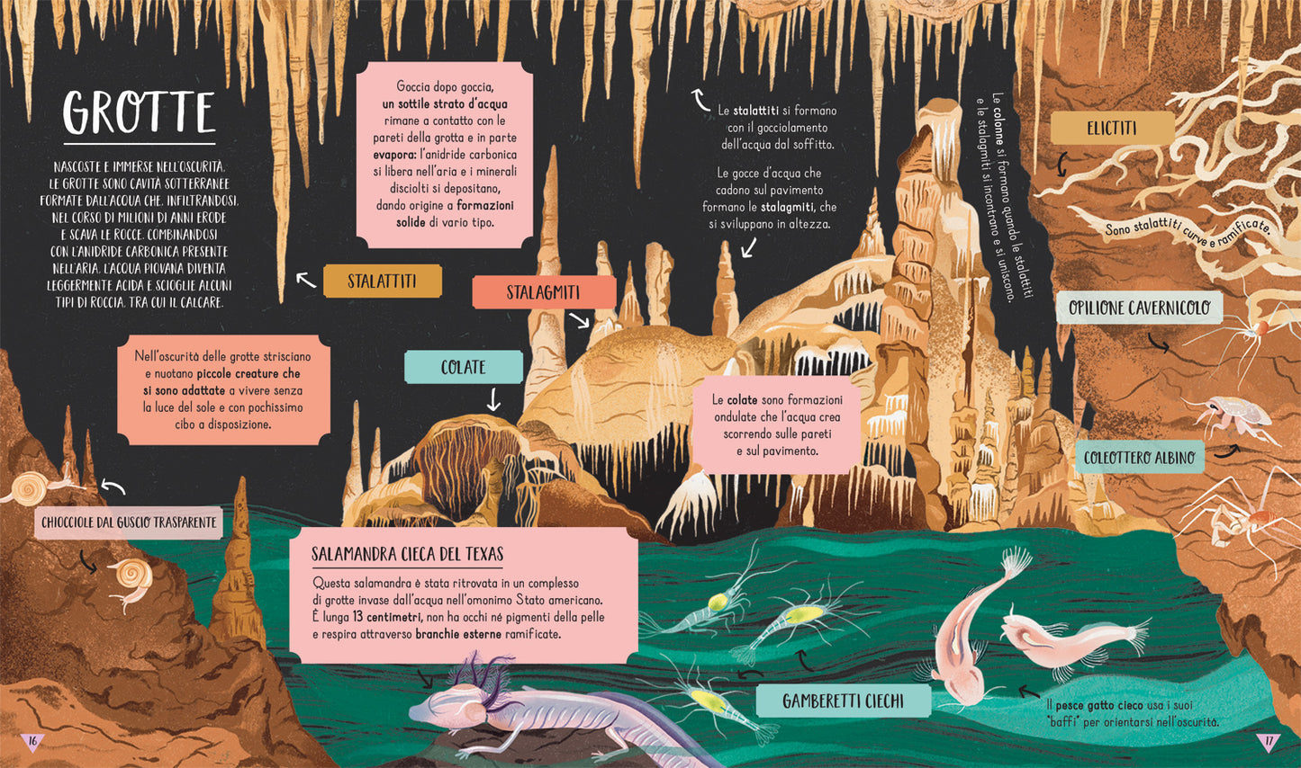 Su e giù::Sali fino allo Spazio, poi GIRA IL LIBRO e scendi fino al centro della Terra!