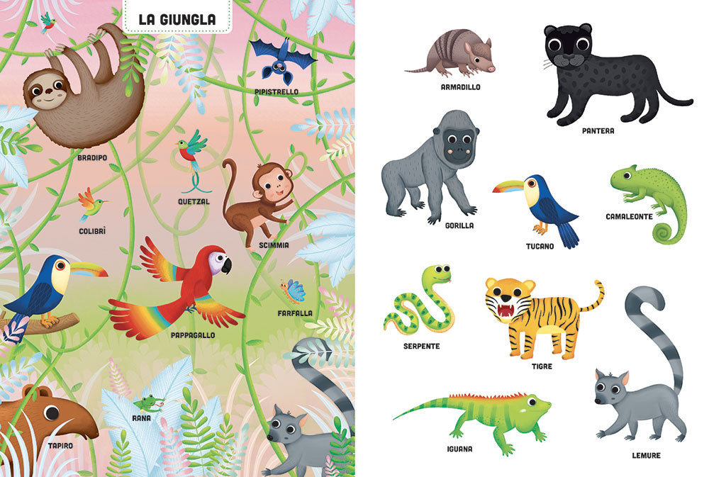 I miei primi dizionari illustrati - animali