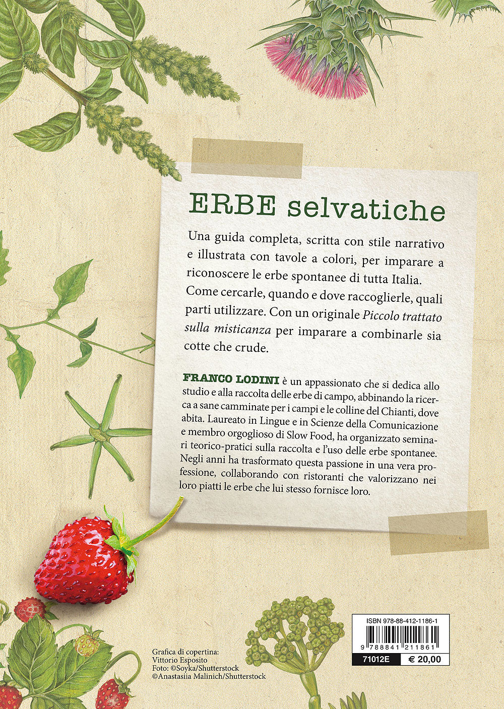 Erbe selvatiche::Ricerca, riconoscimento e raccolta