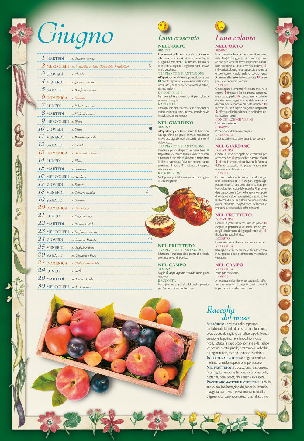 Calendario lunare 2021, da parete, 26,5x38,5 cm::delle semine e dei lavori - 12 mesi di cose da fare