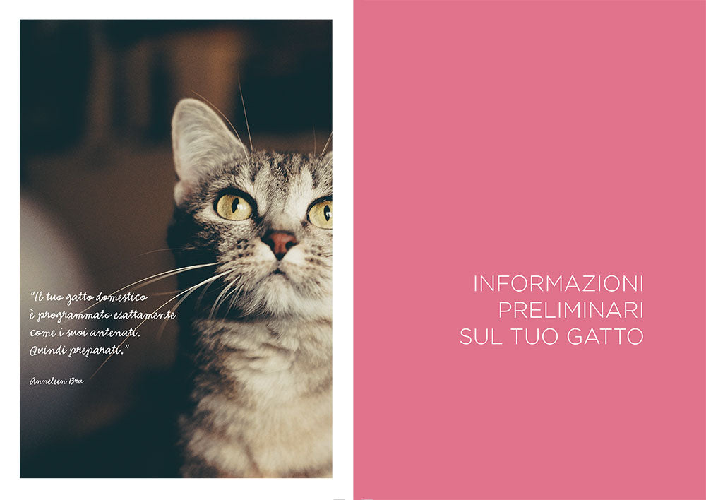 I love happy cats::Guida per avere un gatto felice