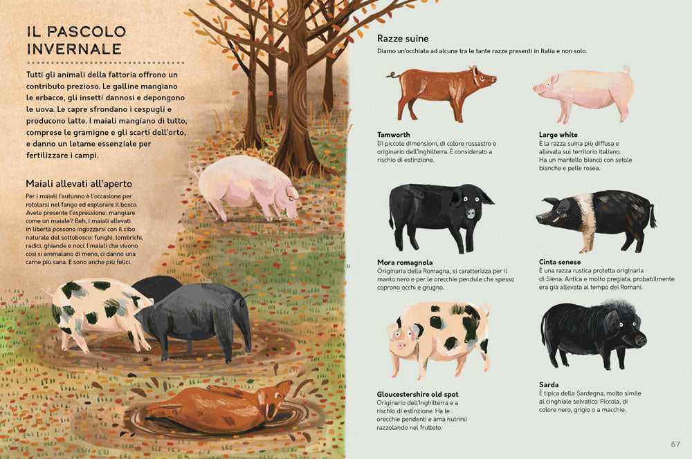 Un anno in fattoria::Le quattro stagioni nella vita di una fattoria biologica dal campo alla tavola.