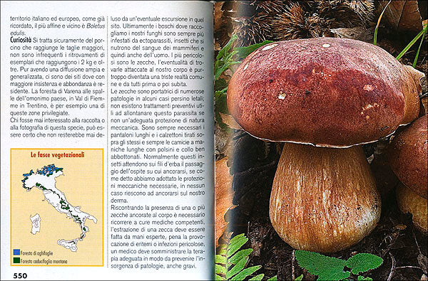 Tutto Funghi::conoscerli raccoglierli cucinarli